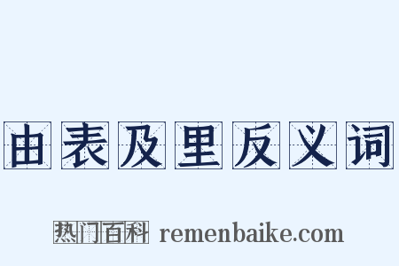 由表及里反义词是什么意思的图片